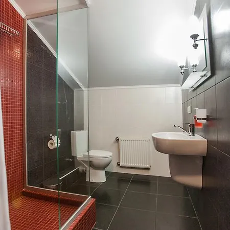 Inn Spa-hotel Dobrynia *